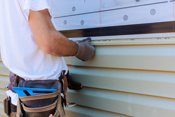 Affordable Vinyl Siding solutions in Canton, IL